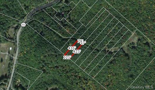 Land in Highland - State Route 55  Sullivan, NY 12732