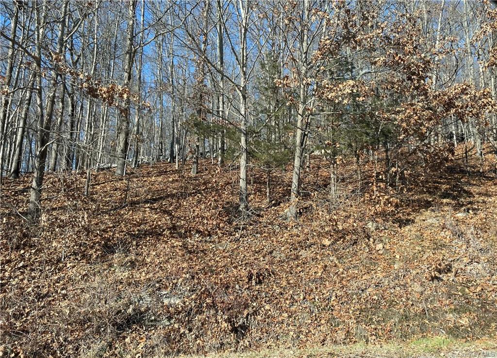 Land in North Salem - Reed  Westchester, NY 10560