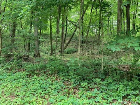 Land in Pleasant Valley - Creek  Dutchess, NY 12569