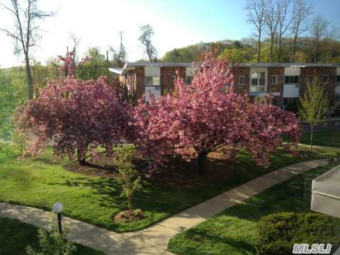 Spacious 2 Bedroom,  2nd Floor Unit,  Fully Renovated,  Vaulted Ceilings,   Granite Counters,  Marble/Ceramic Bath,  Gleaming Hardwood Floors,  Custom Closets,  Panoramic View Of Oyster Bay,  Eastern Exposure,  Best Priced 2 Bedroom Unit In Oyster Bay,  Close To All!