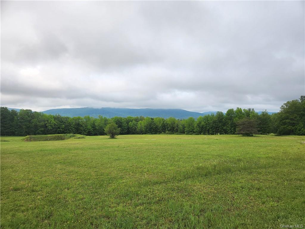 Land in Harpersfield - State Hwy 10  Delaware, NY 13786