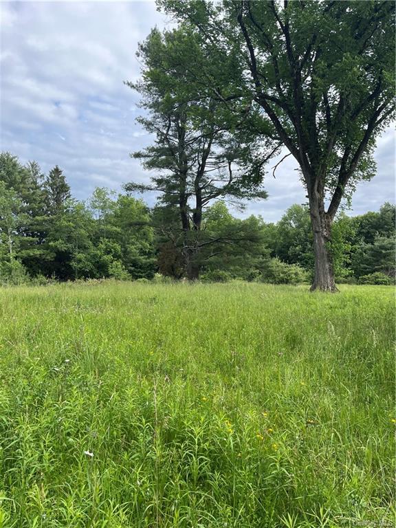 Land in Bethel - State Route 17 B  Sullivan, NY 12720