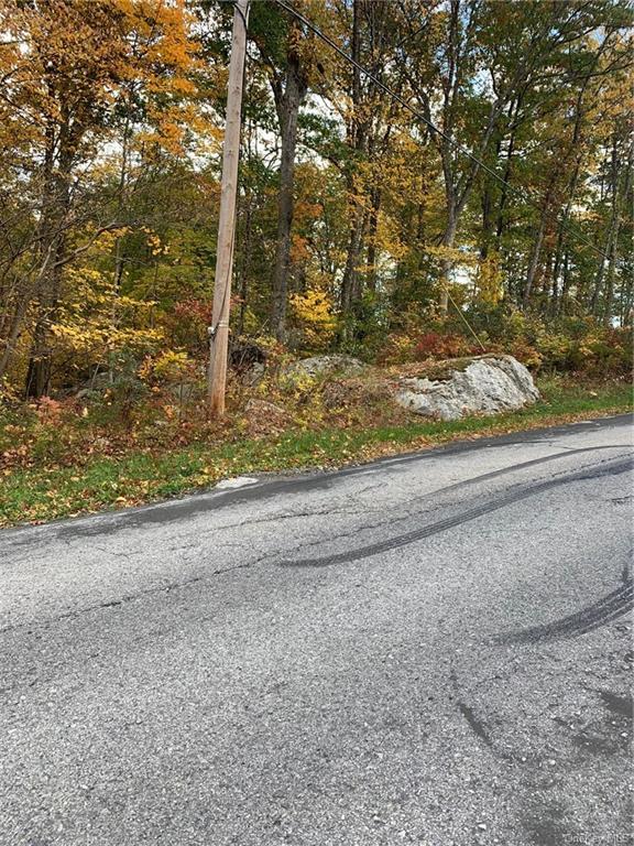 Land in Pawling - South  Dutchess, NY 12531