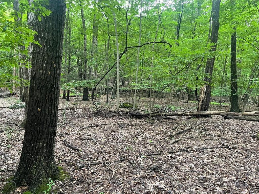 Land in Esopus - Suominen  Ulster, NY 12487