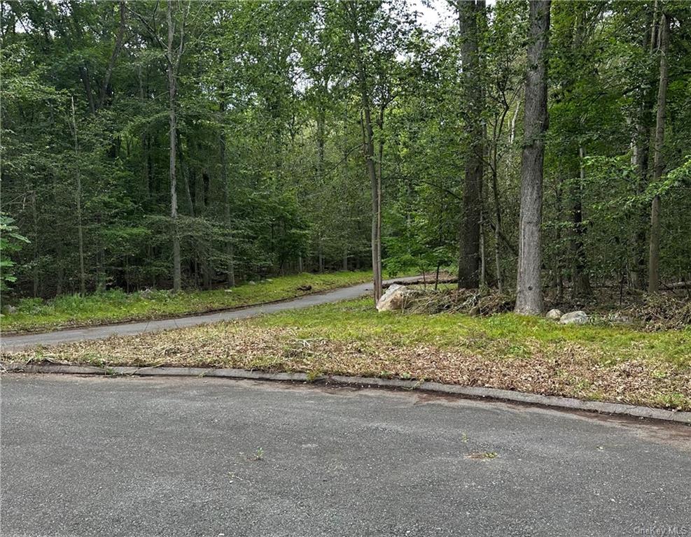 Land in Somers - Florence  Westchester, NY 10541