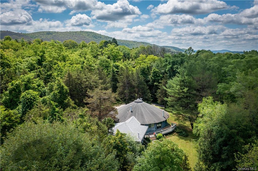 Round out your life with peaceful privacy. Overlook the Harlem Valley from your own 9+ acre hillside of wooded Nirvana.