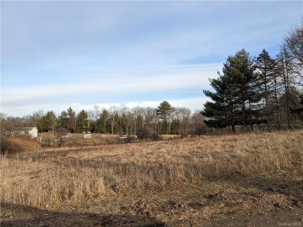 Land in Damascus - Little Beach Lake  Out Of Area, NY 18405