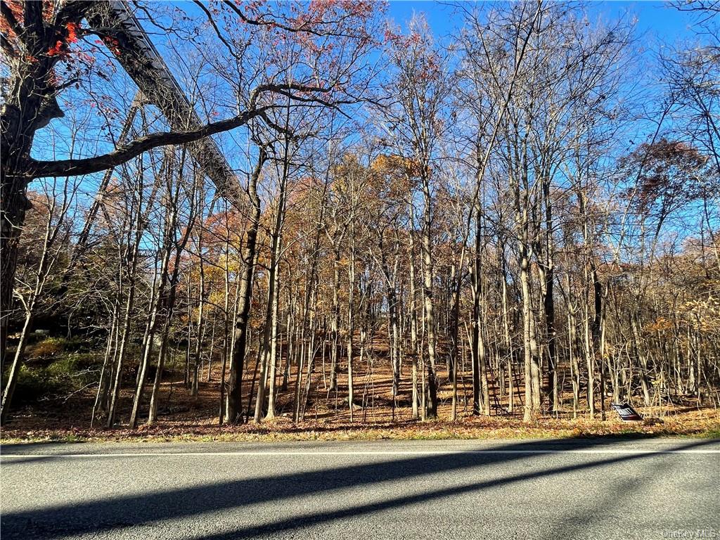 Land in Cornwall - Orrs Mills  Orange, NY 12577