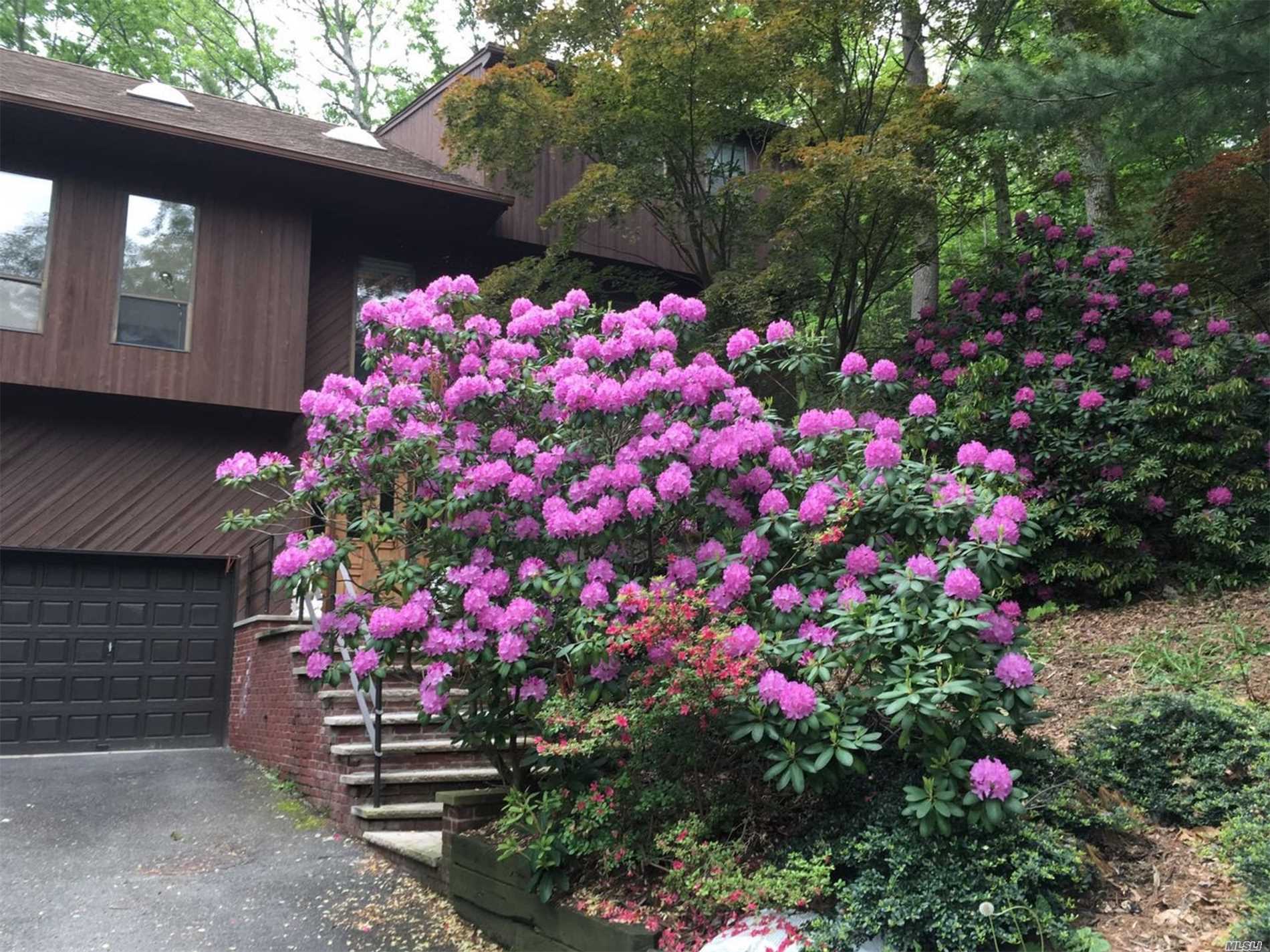 Set Down A Private Driveway Off The Road....This Light & Bright Chalet Style Home Has Soaring Ceilings With Skylights. Natural Light Fills This Home With Generous Entertaining Space. Large Living Room, Dining Room & Palatial Kitchen, Family Room With Wood Burning Fireplace. No Maintenance Yard.