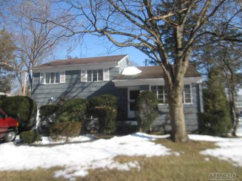 House Needs Tlc. Priced To Sell.  Very Short Walk To Lirr.  Excellent East Williston Schools!