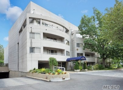 Luxury 24 Hr. Doorman Condo In The Prestigious Village Of Great Neck. Corner Unit With Southern Exposure. Bedroom W/Marble Bath, Guest Powder Room. Laundry In The Unit. Recently Renovated Lobby And Hallways. Close To Transportation, Shopping, Parks, Movie Theatre, Library And Many More Amenities.