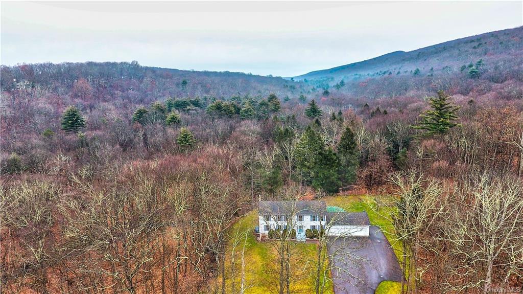 Single Family in Deerpark - Painted Apron  Orange, NY 12771