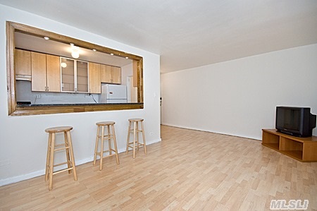 Located On 84th Drive Off Of Queens Blvd., Prime Accessibility To The Subways And Express Bus. Apartment Is A Gorgeous Renovated One Bedroom With Interesting Details. Open California Style Windowed Kitchen (See Photo). New Wood Floors. Granite Countertops And Stainless Steel Appliances. Great Closets, Windowed Renovated Bathroom. Utilities All Included In Maintenance.