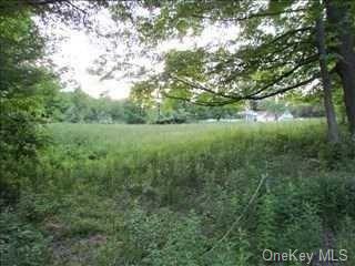 Land in Pawling - Holmes  Dutchess, NY 12531