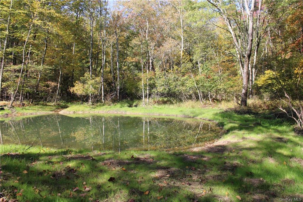Land in Rochester - Iken  Ulster, NY 12446