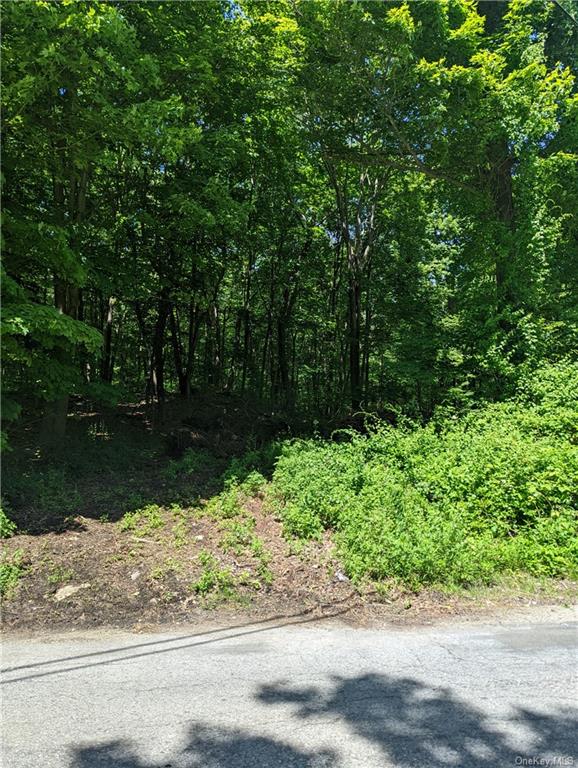 Land in Pawling - South  Dutchess, NY 12531