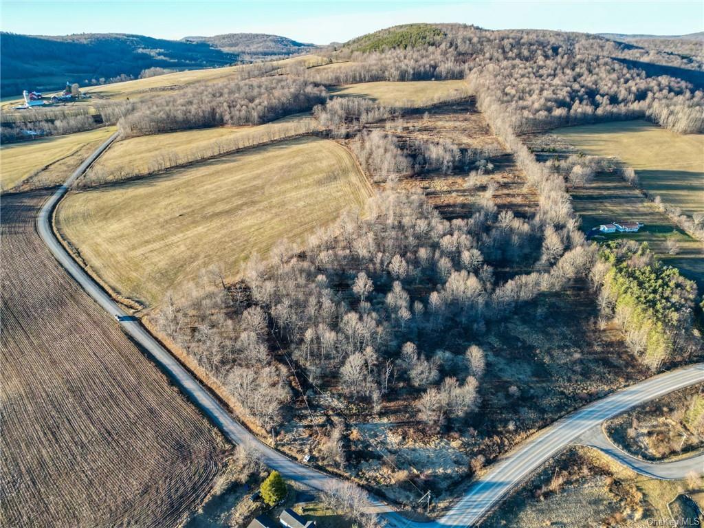 Land in Kortright - Mcmurdy Brook  Delaware, NY 13788