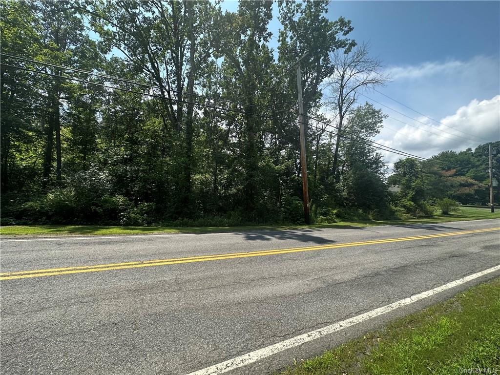 Land in Wappinger - Chelsea  Dutchess, NY 12512