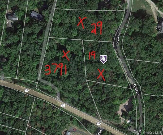 Land in East Fishkill - Prout & 3791 Rte 52  Dutchess, NY 12582