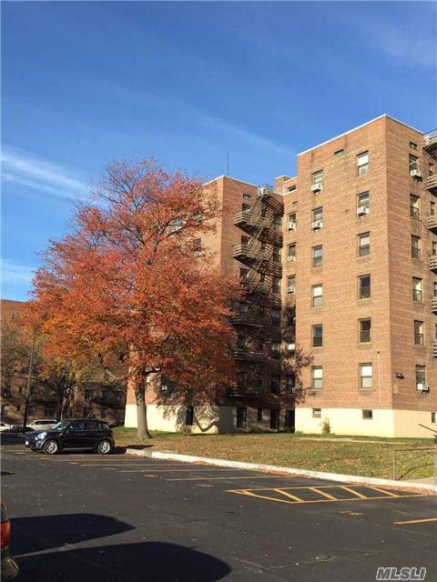 Large 2 Bedroom Apartment In A Nice Community, Olympic Size Pool, Tennis Court. Walking Distance To Shops, Restaurant, Buses. Express Bus To Manhattan . Low Maintainance . Best Schools District. Ps 205, Ms 74, Cardozo High School.