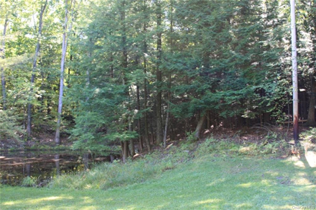 Land in Dover - Lot 10,  Overbrook  Dutchess, NY 12522