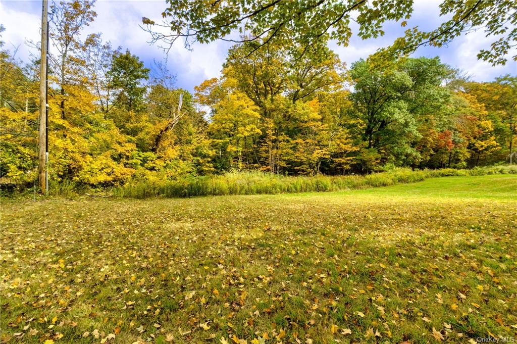 Land in Ossining - Somerstown  Westchester, NY 10562