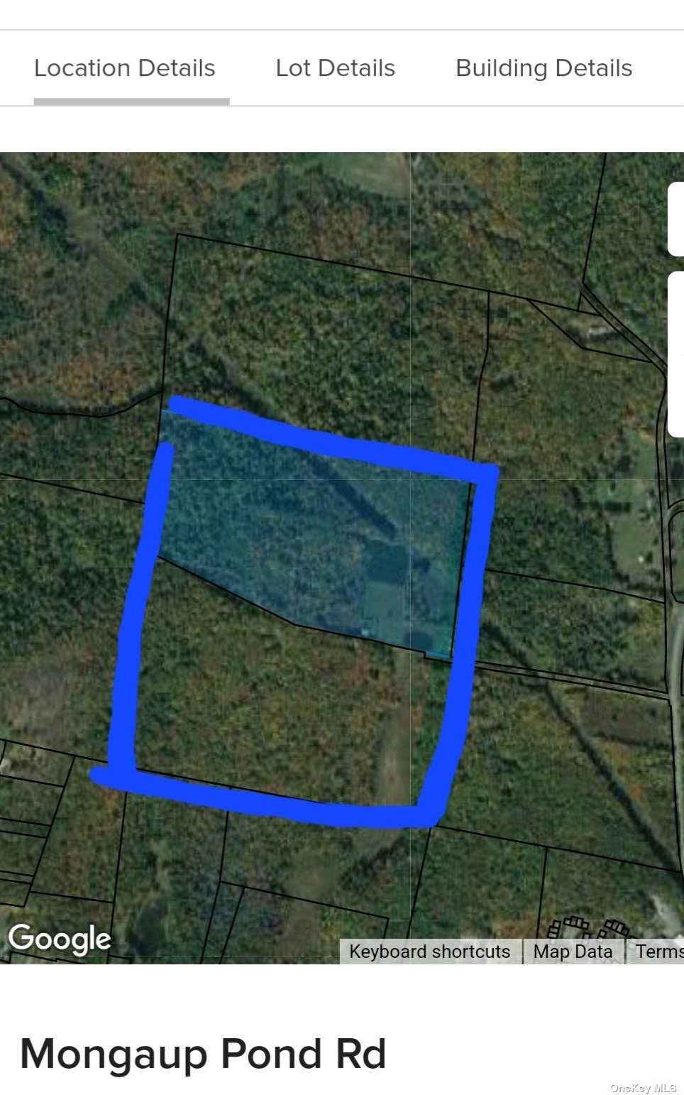 Land in Monticello - Gartner  Sullivan, NY 12701