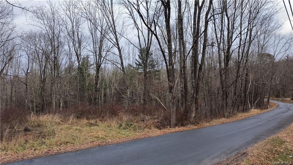 Land in Cochecton - New Turnpike A  Sullivan, NY 12726