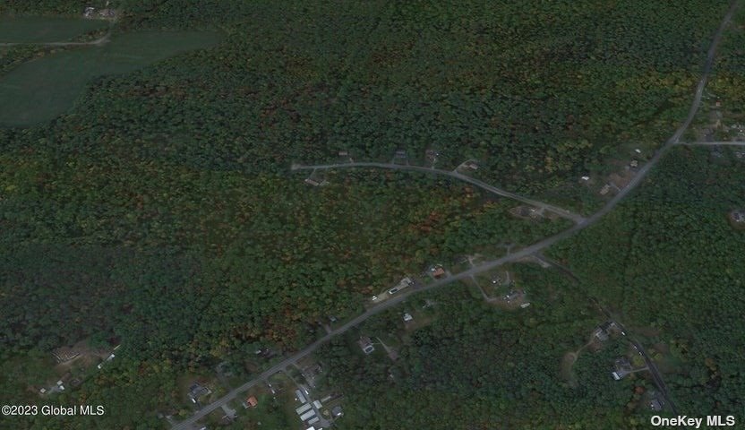 Land in Out Of Area Town - Hickory  Out Of Area, NY 12831