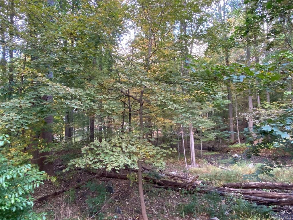 Land in Mount Pleasant - Dogwood  Westchester, NY 10510