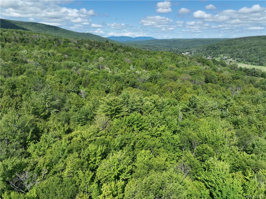 Land in Conesville - Beaver Hill  Out Of Area, NY 12076