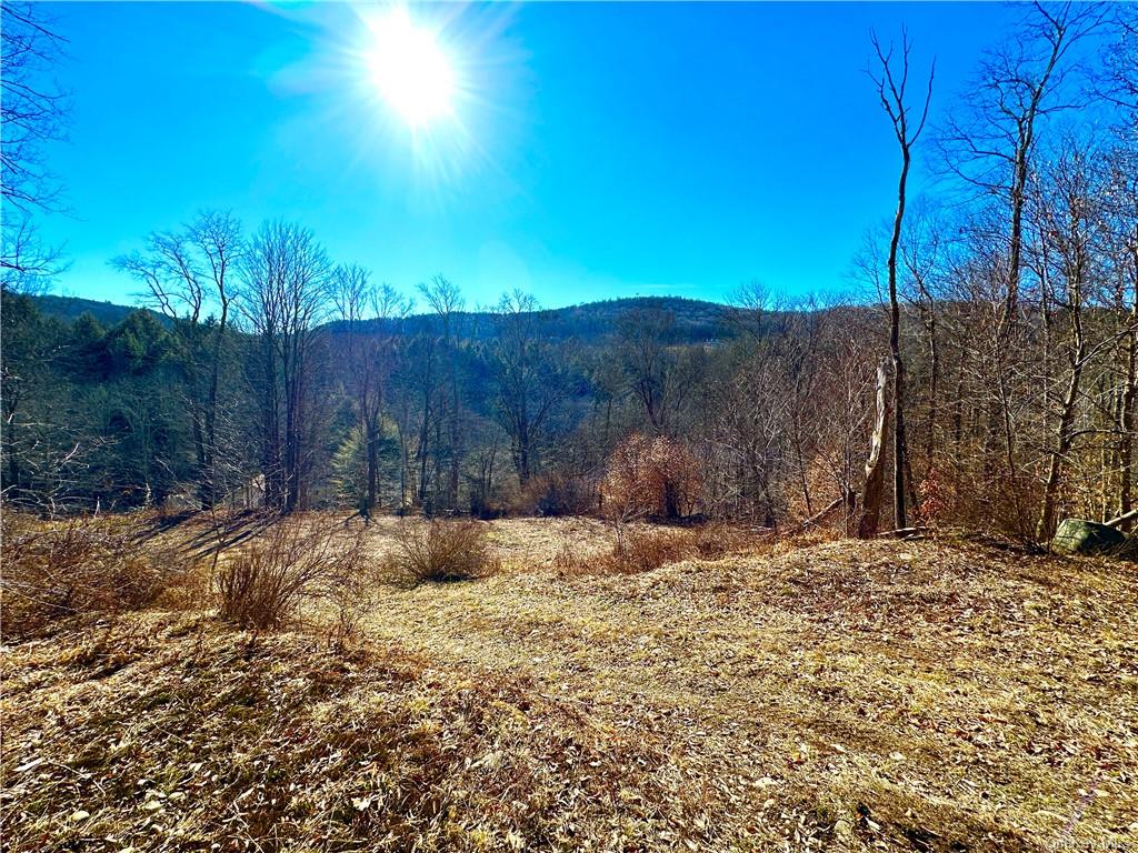 Listing in Callicoon, NY