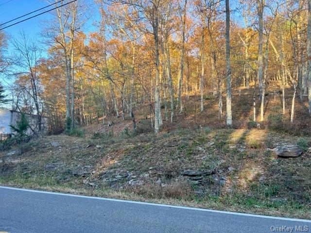 Land in Hurley - Route 28a  Ulster, NY 12443