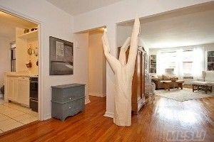 Price Reduced! Fabulous Sundrenched Top Floor 1 Bedroom W/South&East Exposures, Hi Ceilings, Gleaming Wood Floors, Eat-In-Kitch, Huge Lr/Dr, Spacious Bedroom, New A/C, Renov Bathroom, Storage And Laundry  In Bldg. 2 Blocks From Lirr(Only 22 Min Ride To Nyc).Great Neck So.Schools.