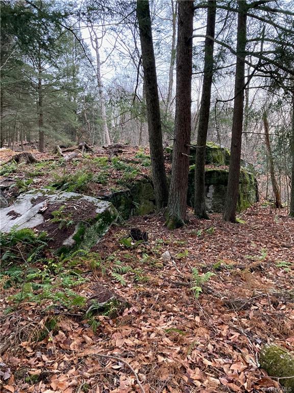 Land in Delaware - Kenoza  Sullivan, NY 12750