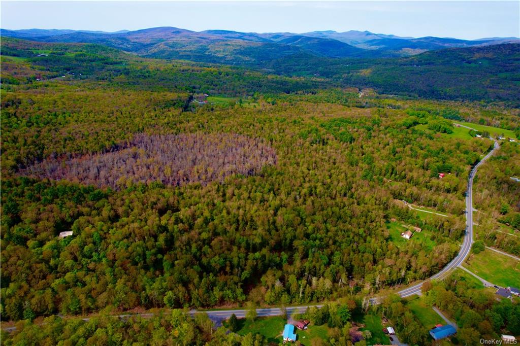 Land in Neversink - State Route 42  Sullivan, NY 12765
