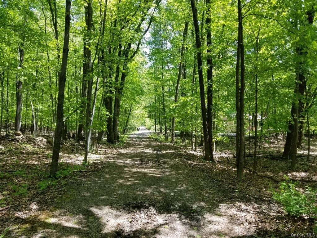 Land in Mount Hope - Ridge  Orange, NY 10940