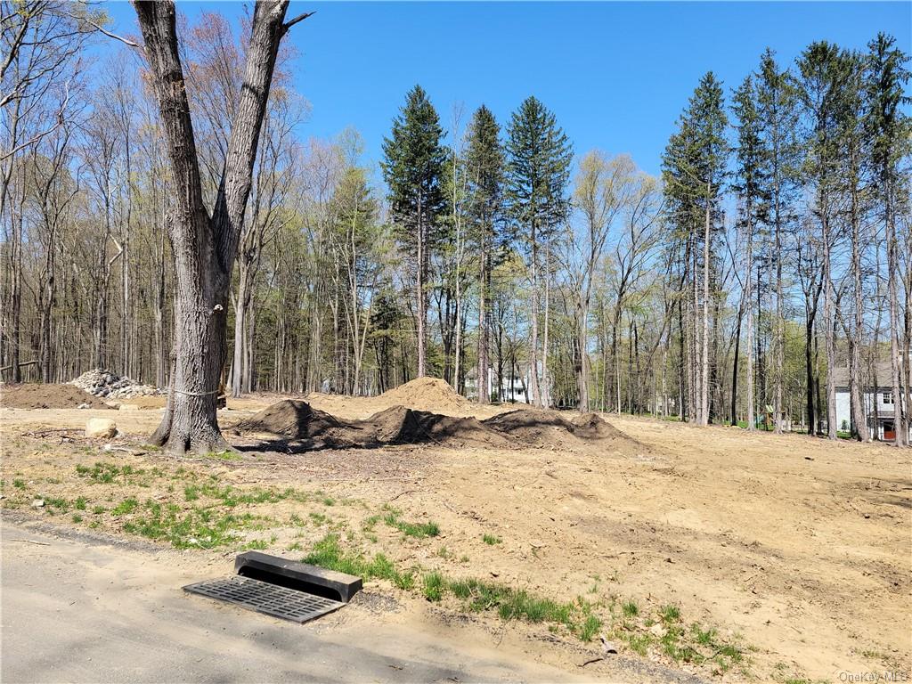 Land in Somers - Cobbling Rock  Westchester, NY 10536