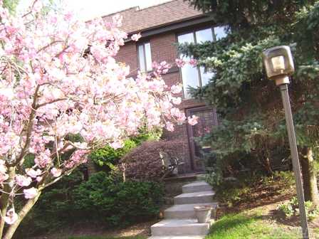 Location Is Everything! Greenery & Trees Surround This Beautiful Corner Cedar Model, W/2 Exposures,Split Bdrms--Largest Mstr Bdrm W/ Walk-In Closets, Lovely 2nd Bdrm, 2 Full Bths W/Skylights & Window Plus Powder Rm, Most Desirable Eik W/Separate Dinette, 2.5 Garage W/Additional Storage Area, Side Entertainment Deck. Same Size As 3-Bdrm Model. Rare Find!  'Motivated Seller'