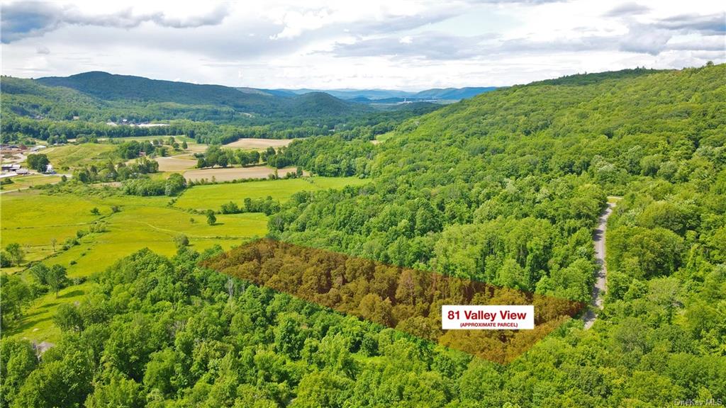 Land in Dover - Valley View Farms  Dutchess, NY 12564
