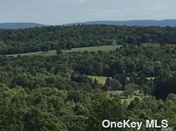 Land in Taghkanic - 27/*greeley Rd  Columbia, NY 12521