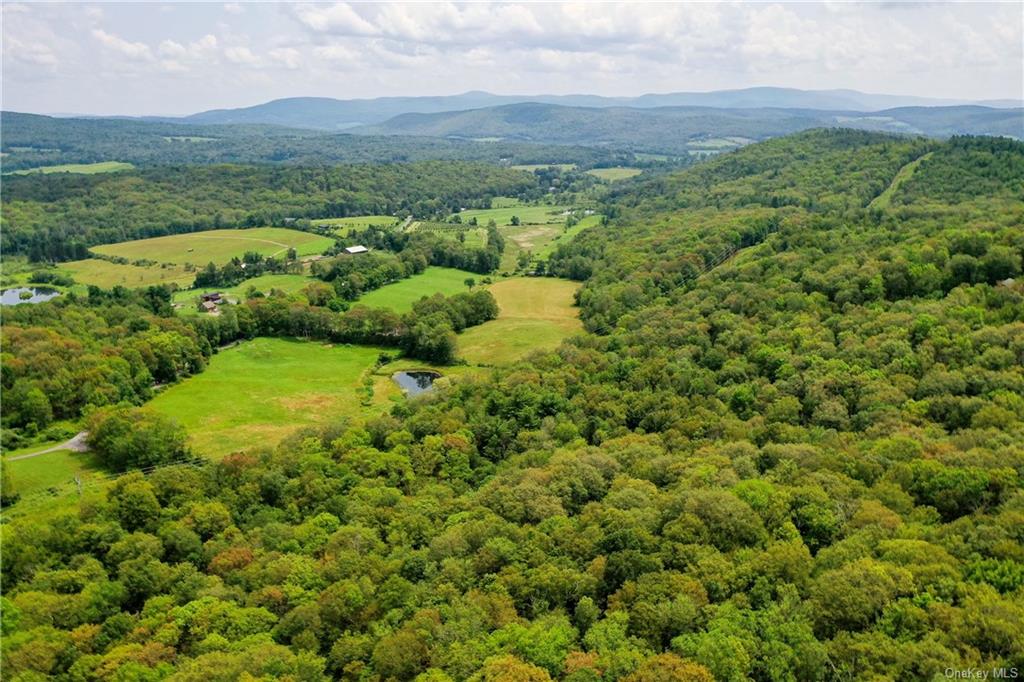 Land in Hillsdale - Texas Hill  Columbia, NY 12529