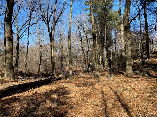 Land in Pound Ridge - Old Logging  Westchester, NY 10506