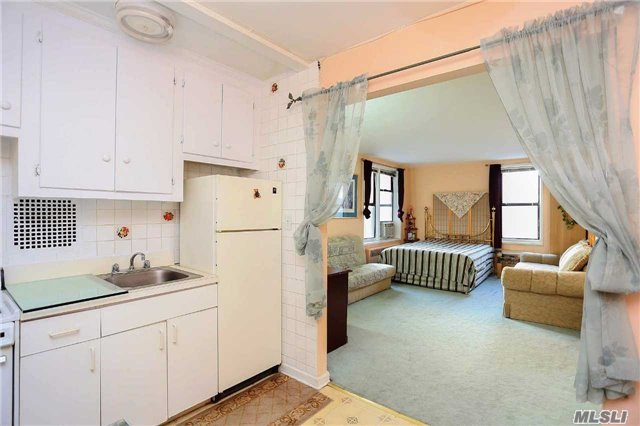 This Studio Coop Apartment Features An Open Layout Plan W/Spacious Kitchen. Nearby Retail Shops, Restaurants, Houses Of Worship, Library, Grocery, Recreation, And E&F Express Trains. This Is An Elevator Building With A Laundry Facility And Garage Parking.