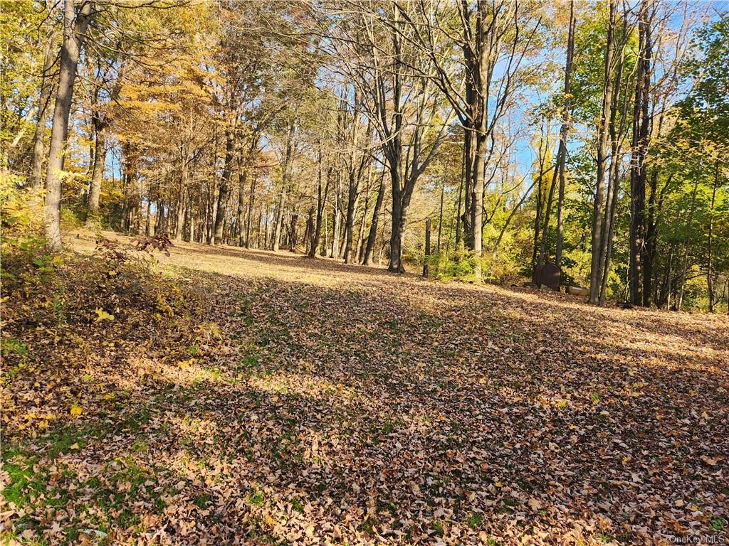 Land in Philipstown - Torchia  Putnam, NY 10516