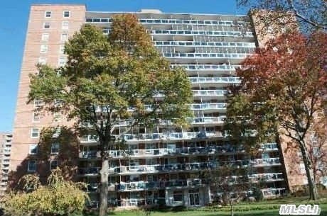 Sunny Studio Apartment With A Terrace In High Rise Building. Centrally Located,  Only Steps To Stores And Subway. Building Offers: Doorman,  Security,  Laundry Facility,  Indoor Parking (Wait List),  Seasonal Swimming Pool And Welcomes Small Pets.
