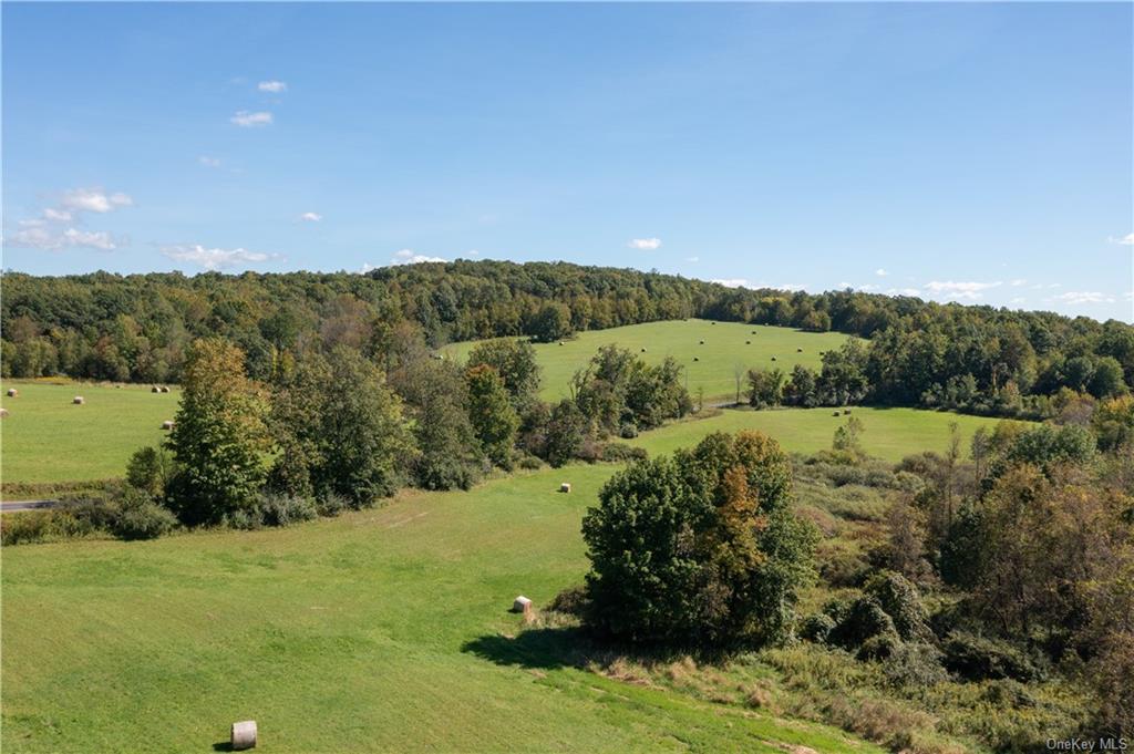Land in Gallatin - Hill Top  Columbia, NY 12502