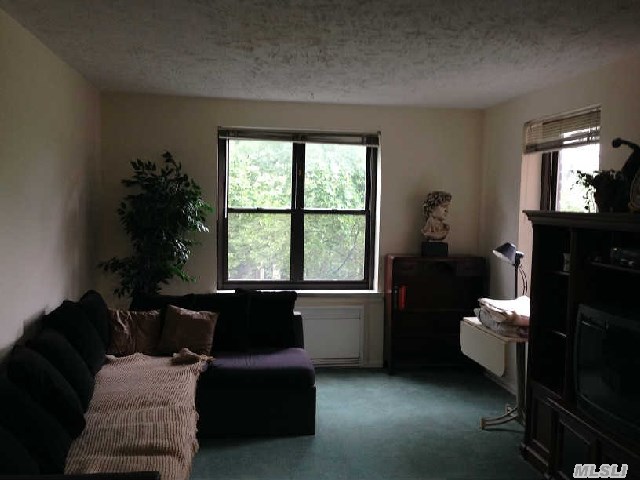 Clean As A Whistle Corner Unit Situated On Quiet Tree Lined 210th Street. Renovated Kitchen, Great Starter With Low Maintenance, Olympic Size Pool, Tennis, Close To Express Bus.