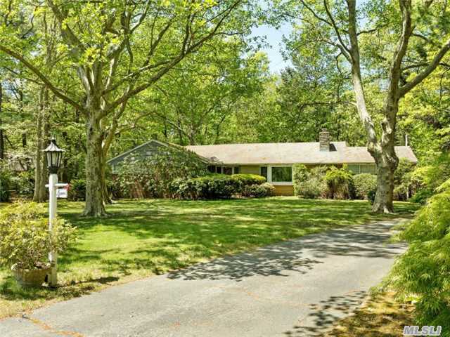 Privacy Abounds In This Beautiful Location. Ranch With Three Bedrooms And 2 Baths In Secluded Neighborhood On 2 Flat Acres. Spacious Kitchen And Wood Floors Througout. Large Basement. Award Winning Syosset Schools. Perfect For Updating Or Builders.