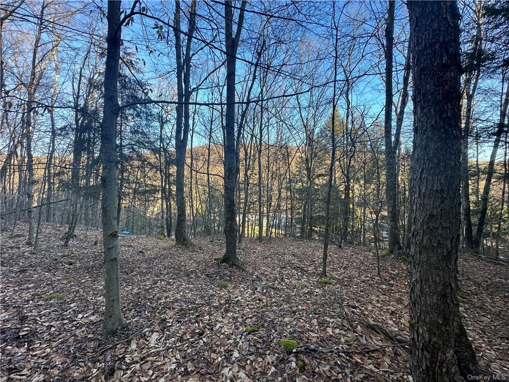 Land in Rockland - Grooville  Sullivan, NY 12758